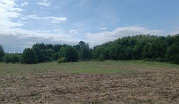 Działka rolna Długie