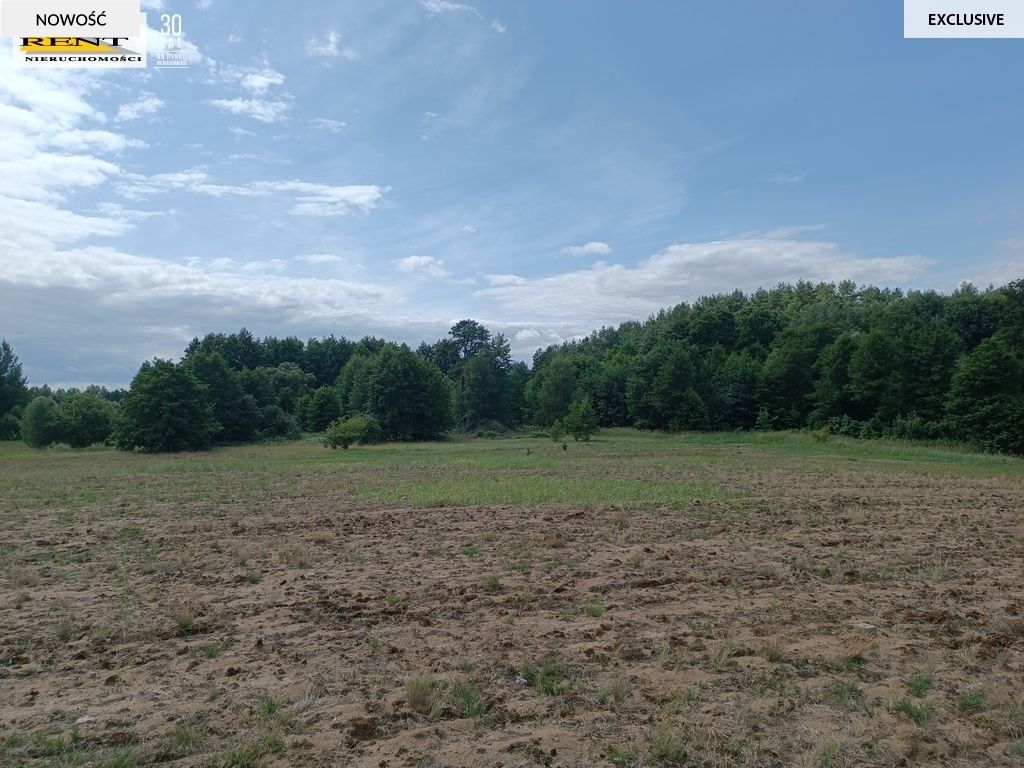 Działka rolna Długie. Zdjęcie 2