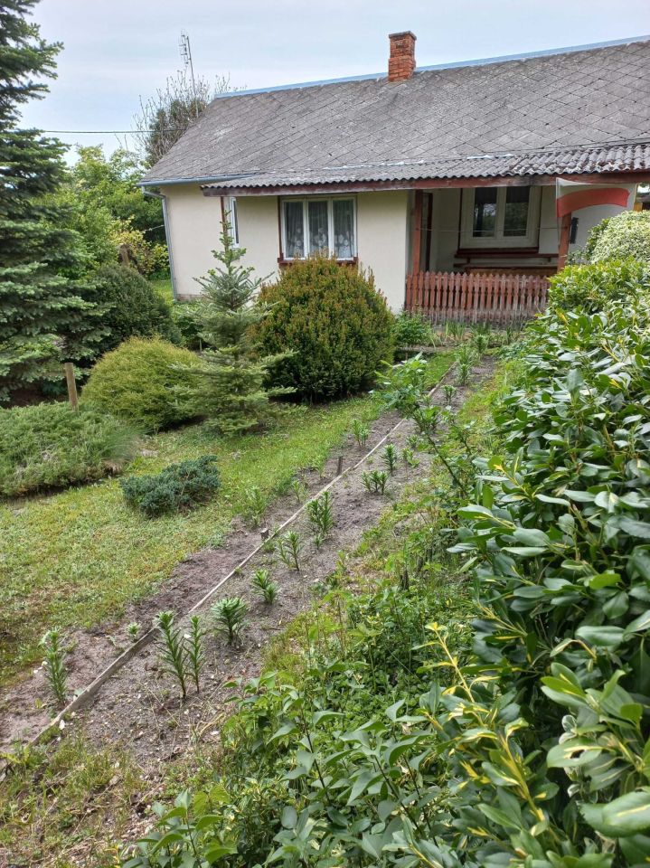 dom wolnostojący, 4 pokoje Bródek. Zdjęcie 5