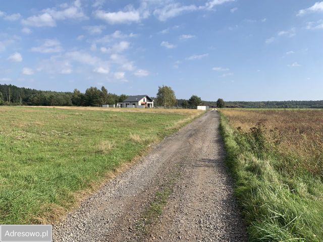 Działka budowlana Twarda. Zdjęcie 1