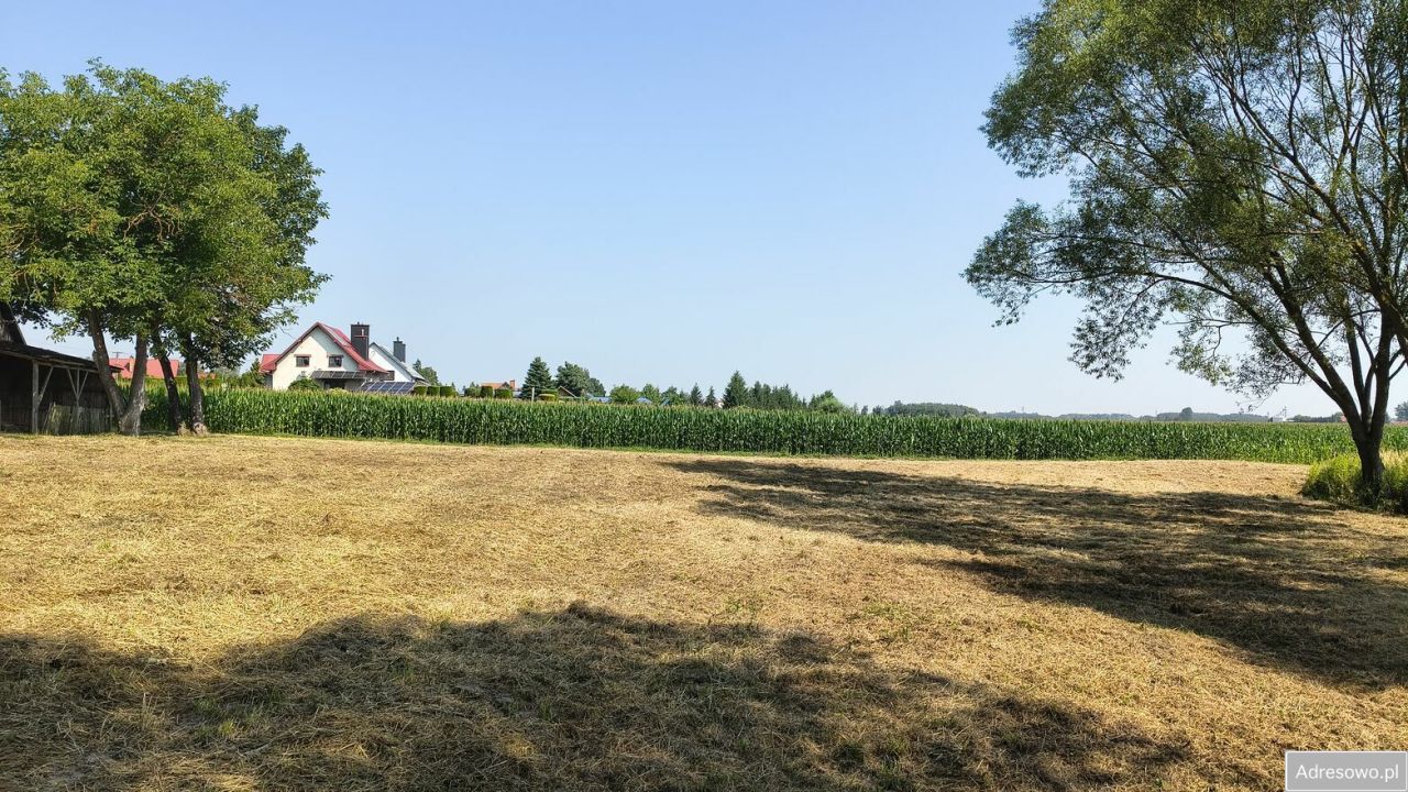 Działka rolno-budowlana Dąbrówka Osuchowska. Zdjęcie 7