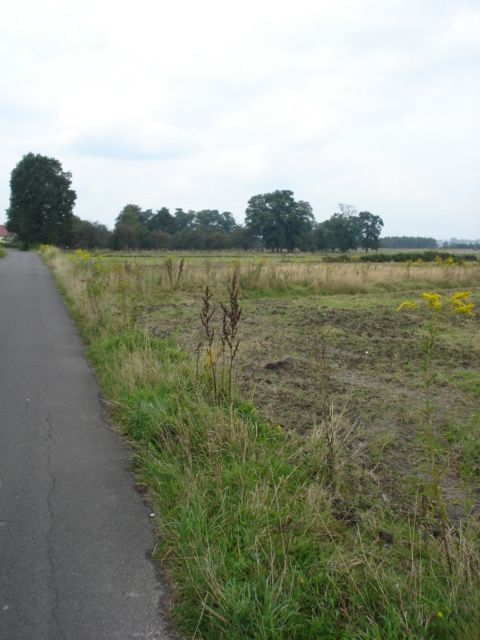 Działka rolno-budowlana Paprotnia. Zdjęcie 8