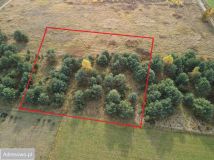 Działka rolno-budowlana Zamek Bierzgłowski. Zdjęcie 2