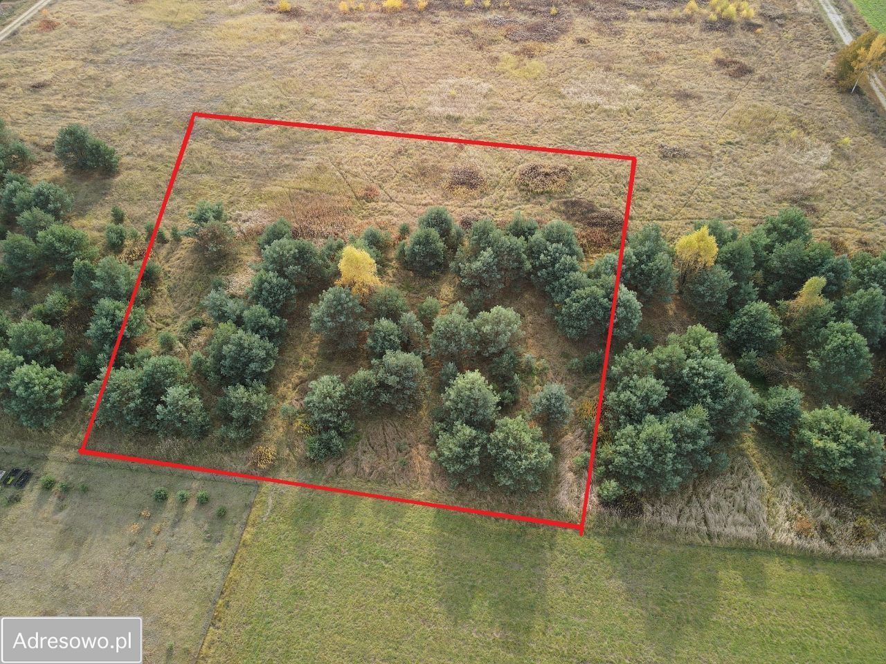 Działka rolno-budowlana Zamek Bierzgłowski. Zdjęcie 3