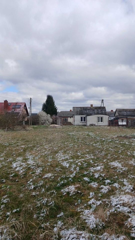 siedlisko Trawniki. Zdjęcie 6