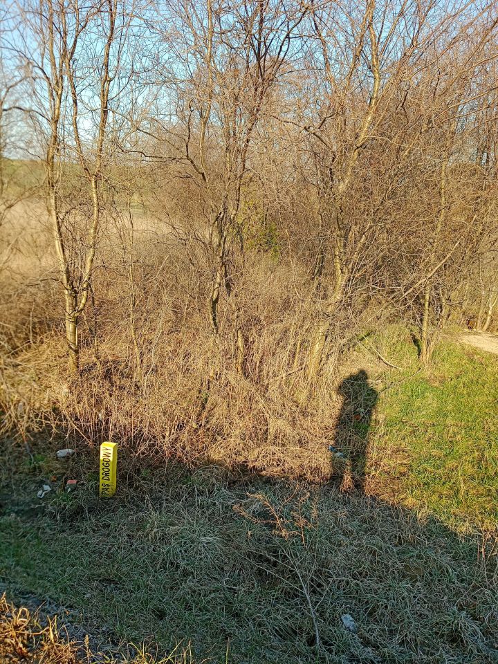 Działka budowlana Jedwabne. Zdjęcie 11