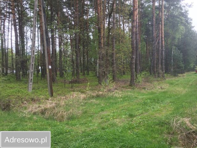 Działka leśna Bartniki, ul. Spokojna. Zdjęcie 1