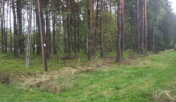 Działka leśna Bartniki, ul. Spokojna