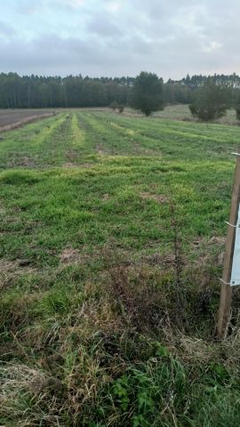Działka rolno-budowlana Kurzacze Kaplica. Zdjęcie 1