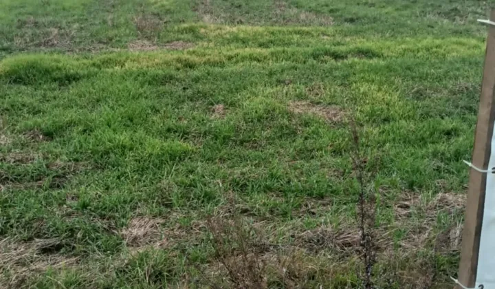 Działka rolno-budowlana Kurzacze Kaplica