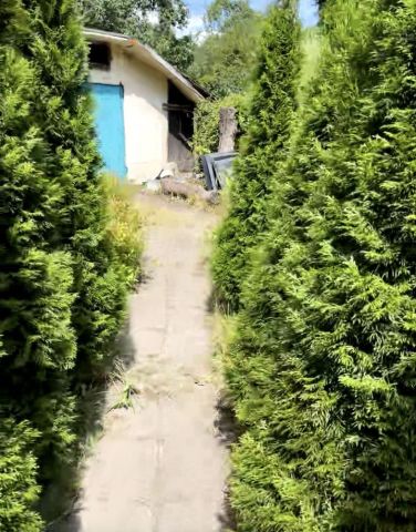 Działka rod Gliwice Śródmieście, ul. Kozielska. Zdjęcie 1