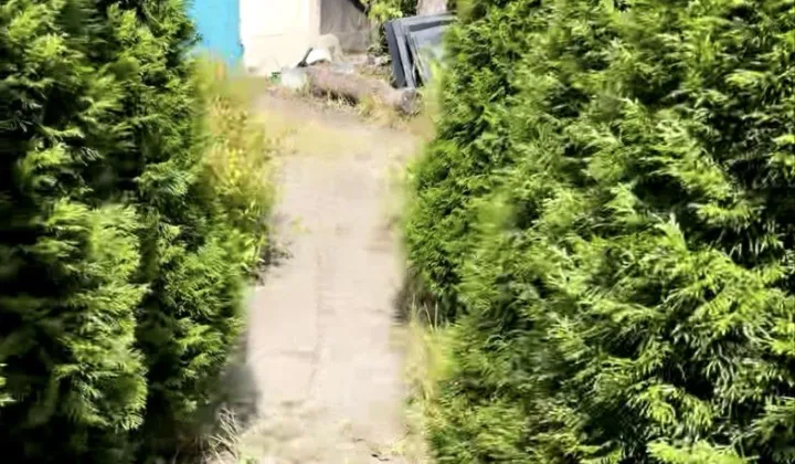 Działka rod Gliwice Śródmieście, ul. Kozielska