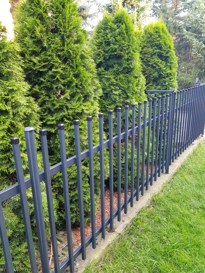 Działka rod Wierzchucinek. Zdjęcie 3