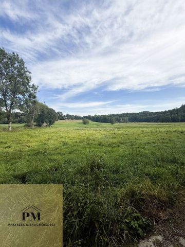 dom wolnostojący, 7 pokoi Kłanino. Zdjęcie 42