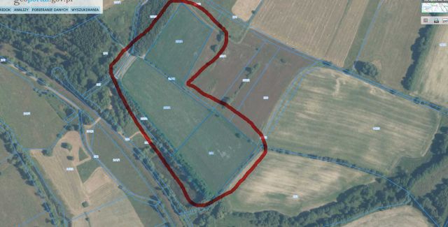 Działka rolna Błażkowa, Błażkowa. Zdjęcie 1