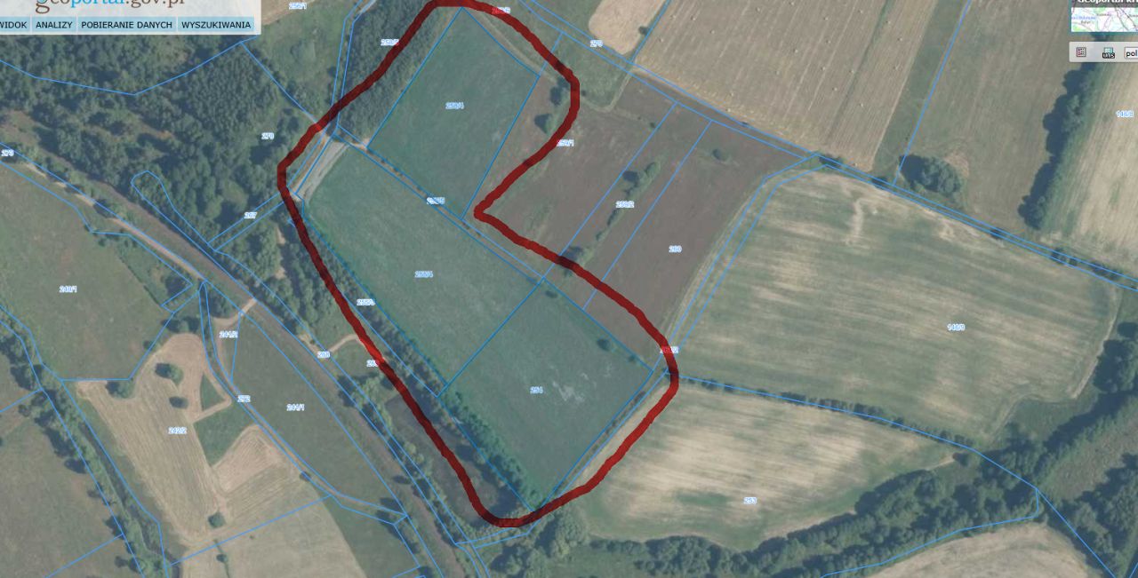 Działka rolna Błażkowa, Błażkowa. Zdjęcie 1