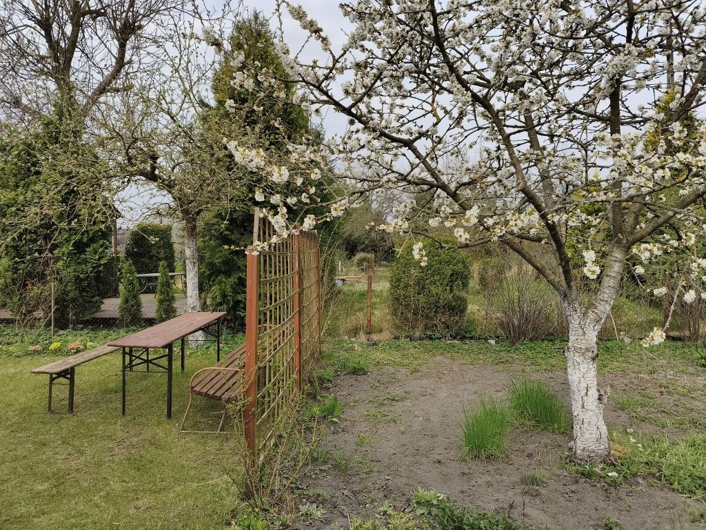 Działka rod Szczecin Zawadzkiego-Klonowica, ul. Modra. Zdjęcie 8