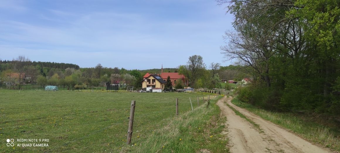 Działka rolno-budowlana Ciekocino. Zdjęcie 7