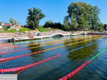 Działka rod Lgiń. Zdjęcie 3