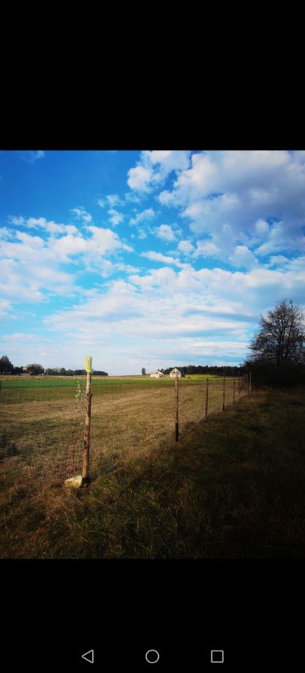 Działka rolno-budowlana Lasocin. Zdjęcie 3