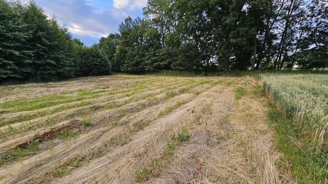 Działka budowlana Nowizna, ul. Łąkowa. Zdjęcie 1