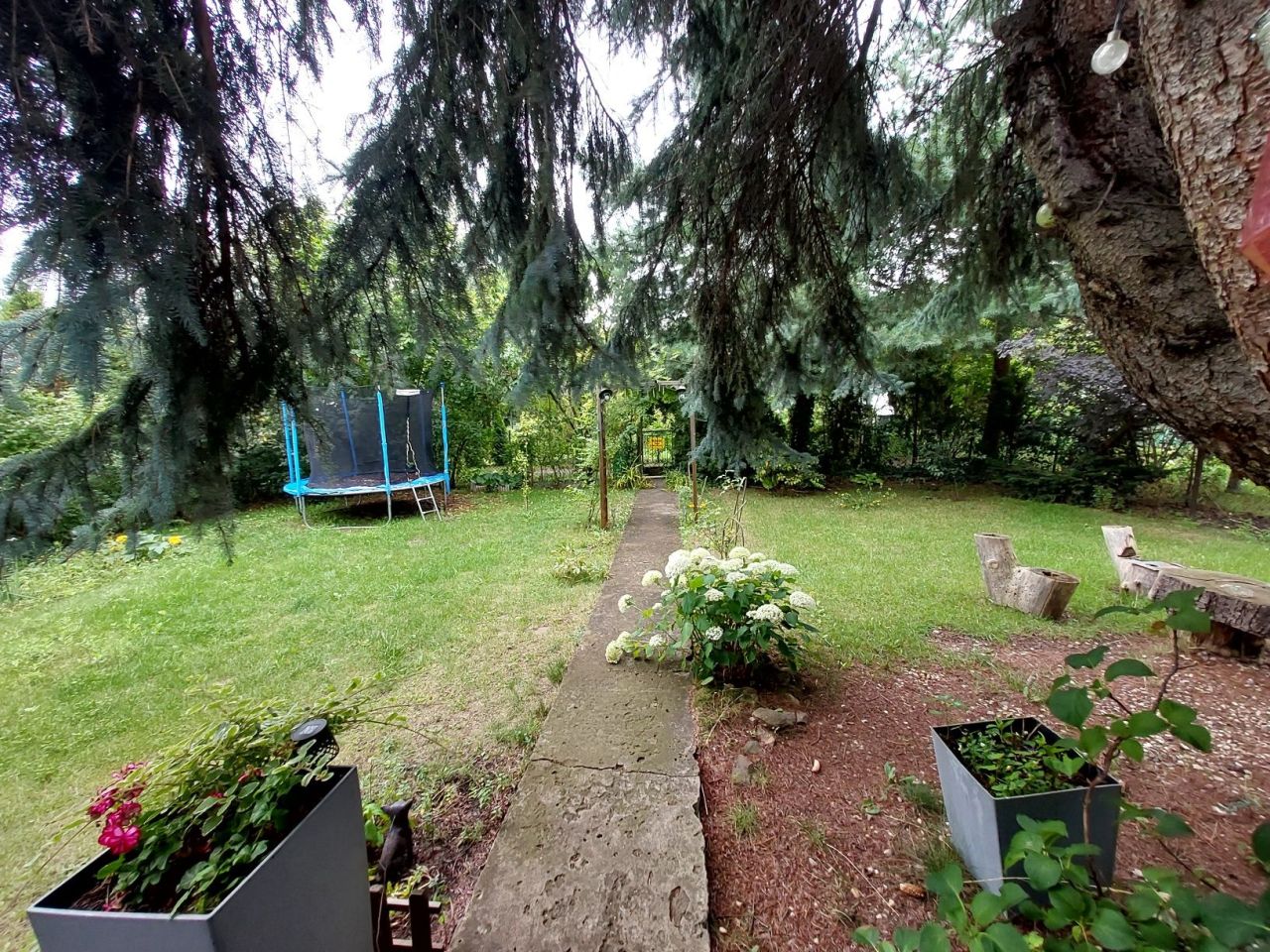 Działka rod Warszawa Targówek, ul. Janowiecka. Zdjęcie 6