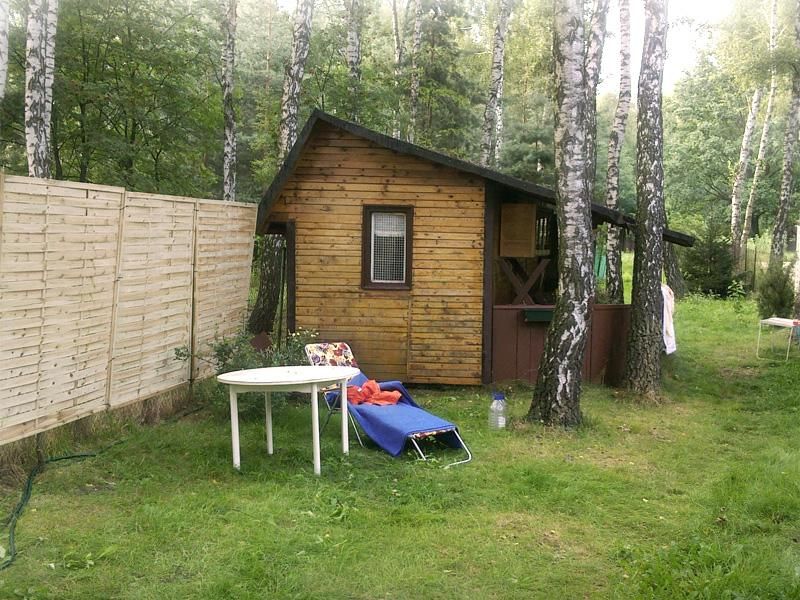 Działka leśna Wola Cyrusowa-Kolonia. Zdjęcie 1