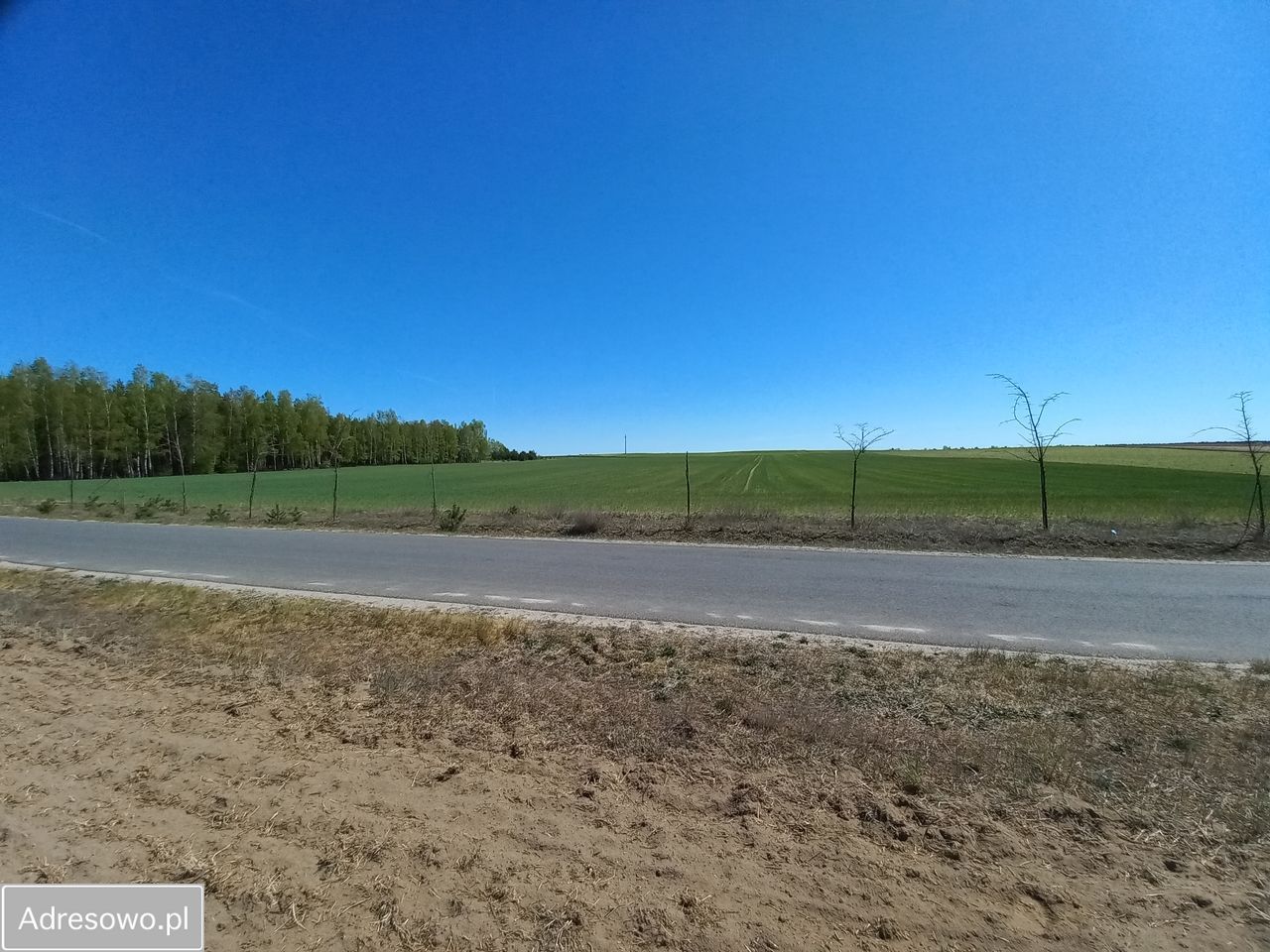 Działka budowlana Huta. Zdjęcie 3