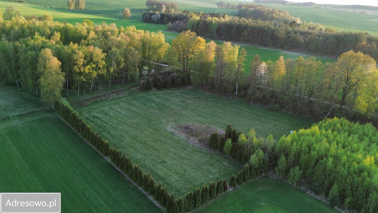 Działka budowlana Czernikowice. Zdjęcie 10