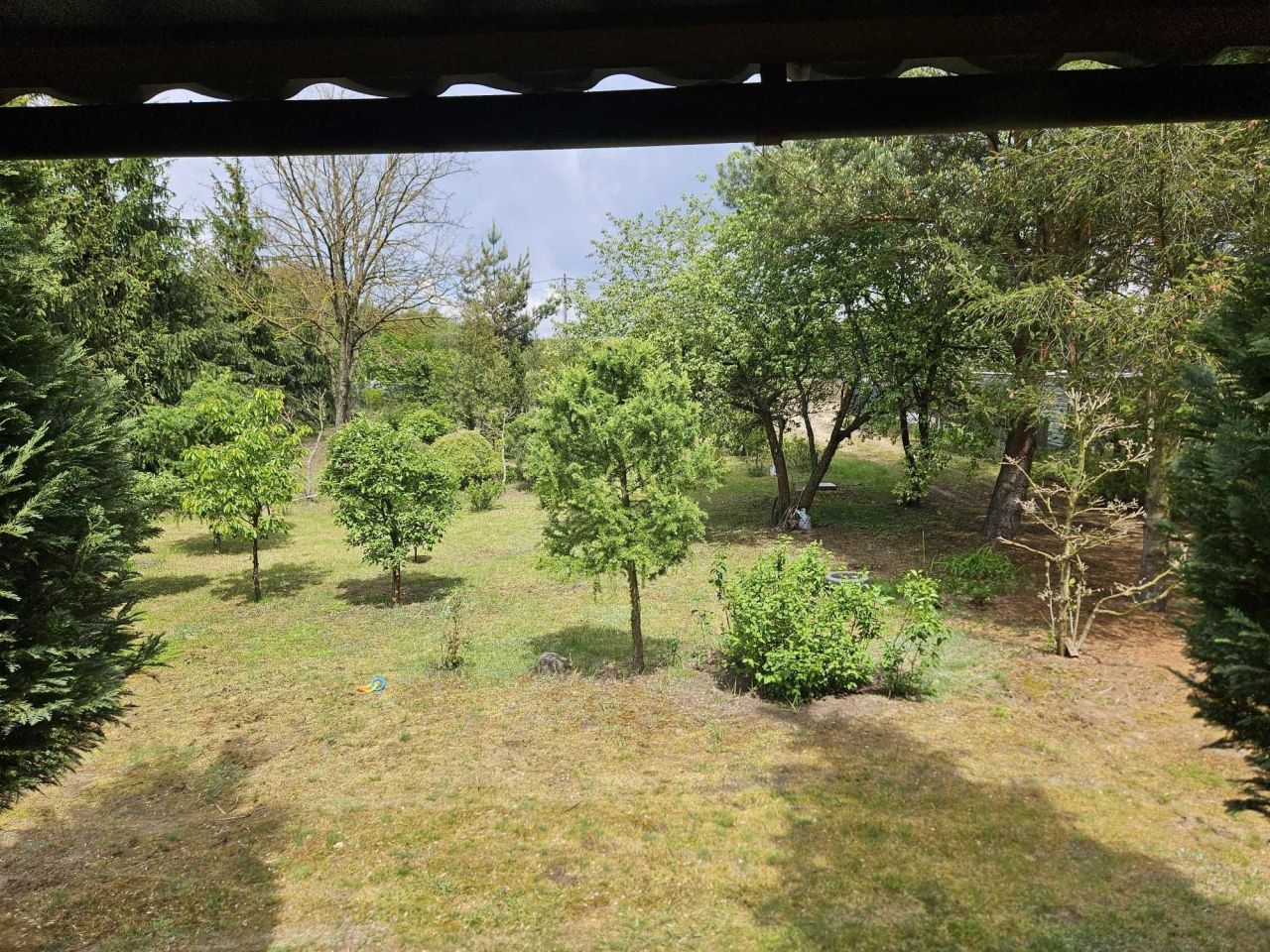 Działka rekreacyjna Marianów. Zdjęcie 8