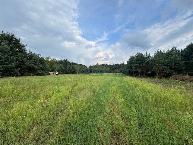 Działka rolno-budowlana Kuligów, ul. Dębinowa. Zdjęcie 9