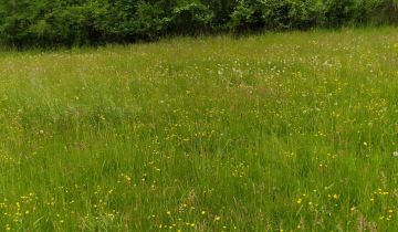 Działka rolno-budowlana Wola Nieszkowska Pańska Rola