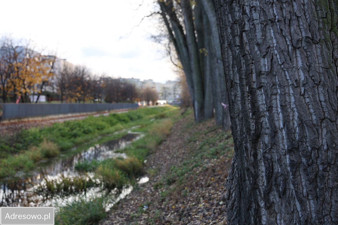 Mieszkanie 3-pokojowe Warszawa Targówek, ul. Malborska. Zdjęcie 2