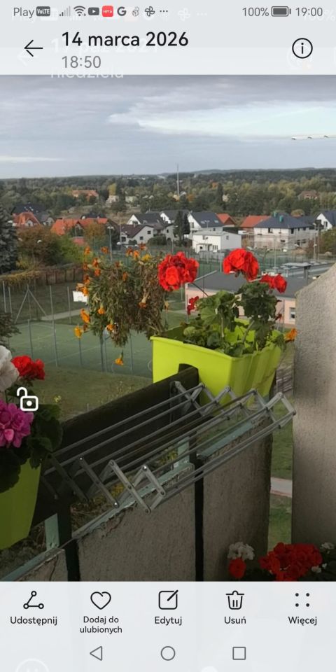 Mieszkanie 2-pokojowe Piła Jadwiżyn, ul. Królowej Jadwigi. Zdjęcie 9