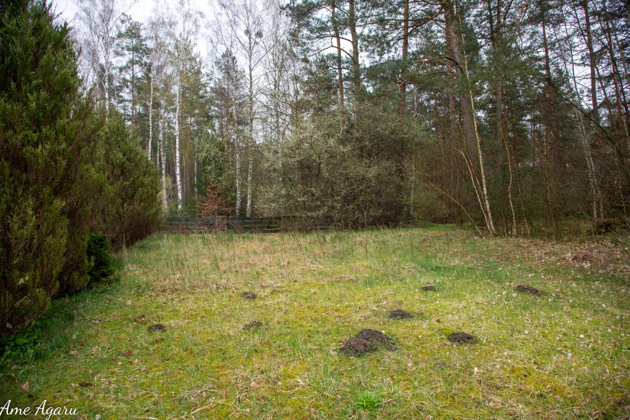 Działka budowlana Marózek. Zdjęcie 13