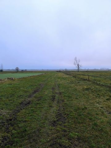 Działka rolno-budowlana Głużek. Zdjęcie 1