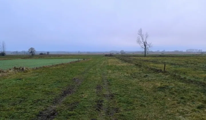 Działka rolno-budowlana Głużek