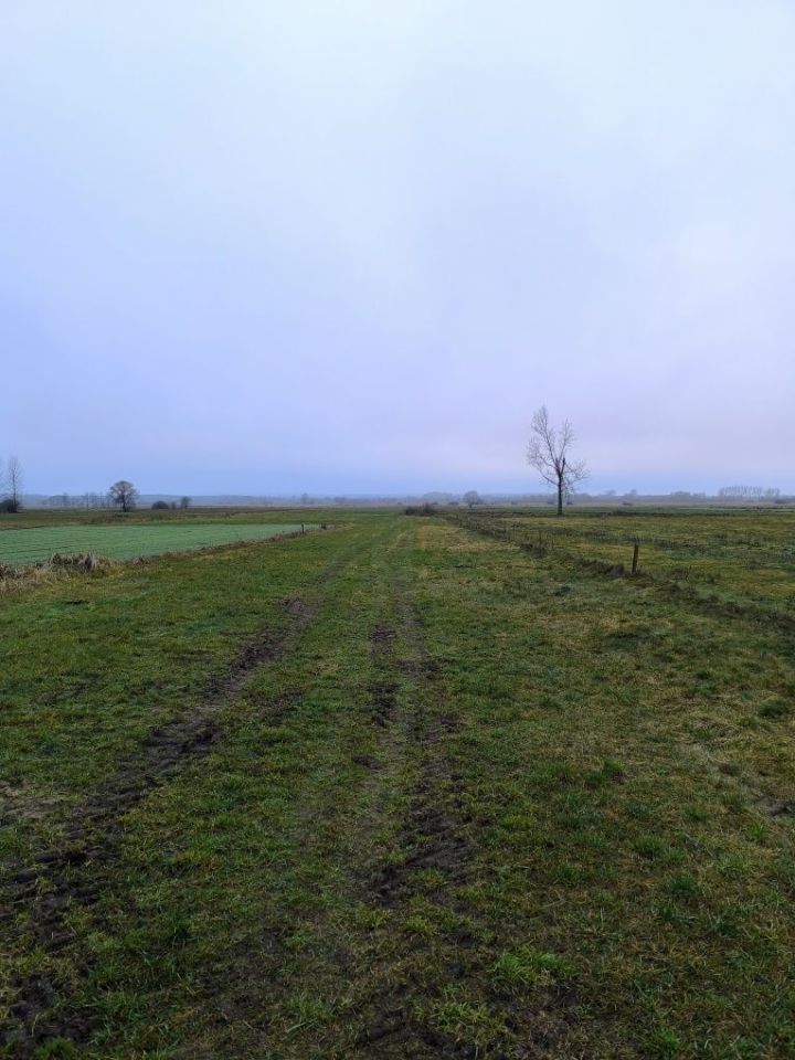 Działka rolno-budowlana Głużek. Zdjęcie 1