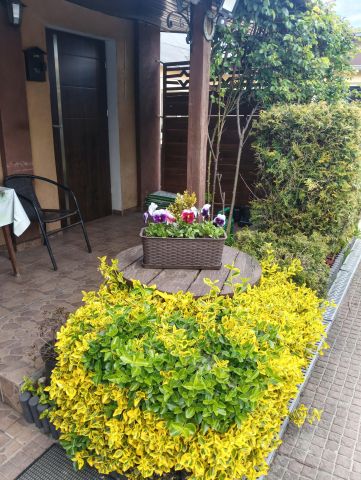 dom szeregowy, 2 pokoje Aleksandrów Łódzki Centrum, 11 Listopada. Zdjęcie 1