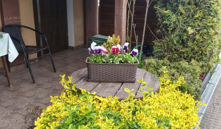 dom szeregowy, 2 pokoje Aleksandrów Łódzki Centrum, 11 Listopada