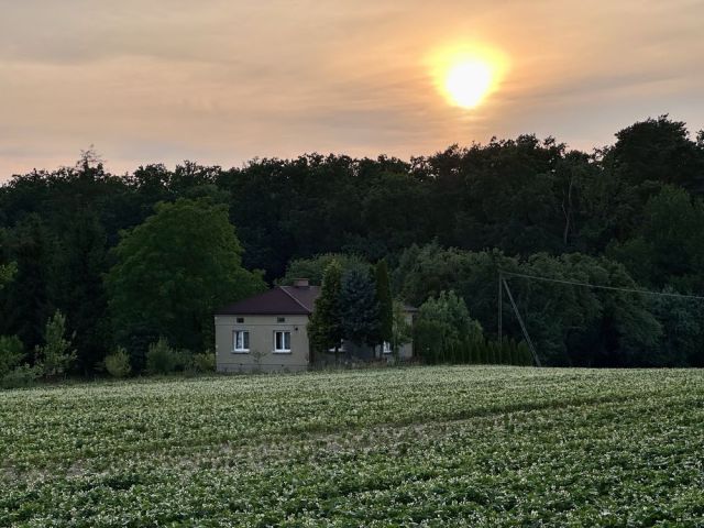 gospodarstwo Grabowczyk. Zdjęcie 1