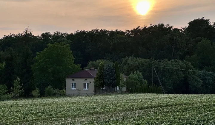 gospodarstwo Grabowczyk