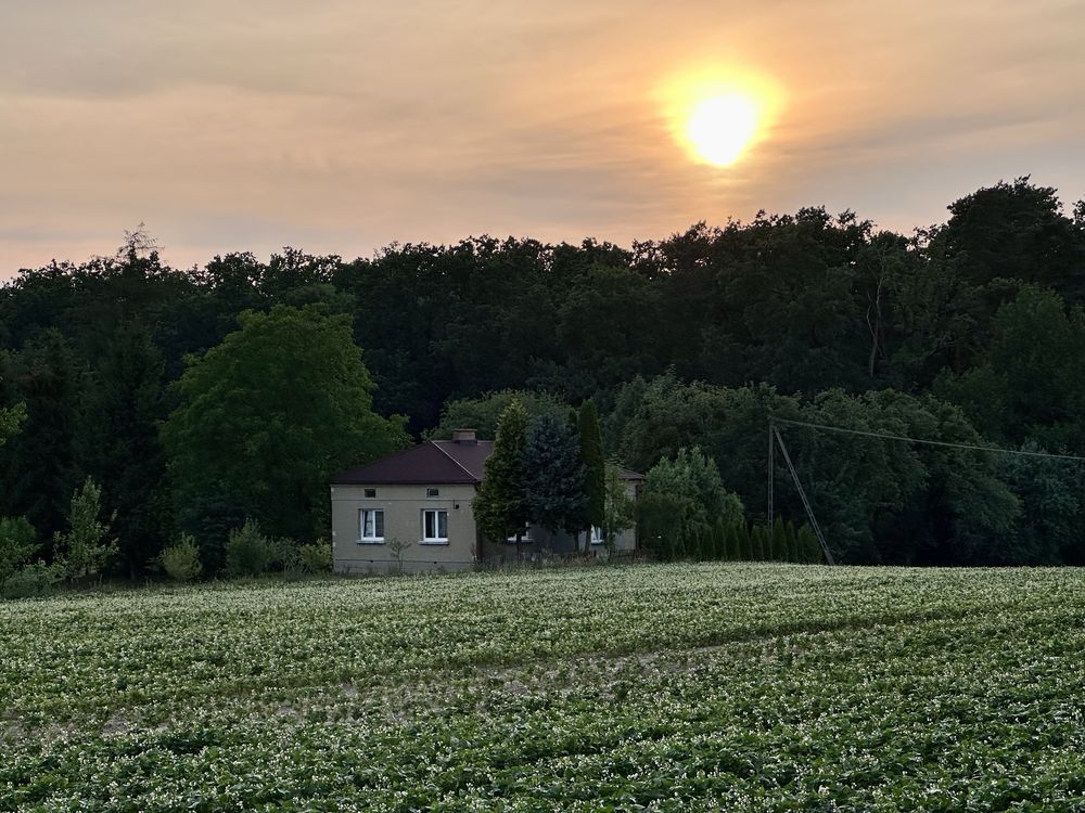 gospodarstwo Grabowczyk. Zdjęcie 1
