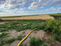 Działka budowlana Brzezia Łąka, ul. Kasztanowa. Zdjęcie 3