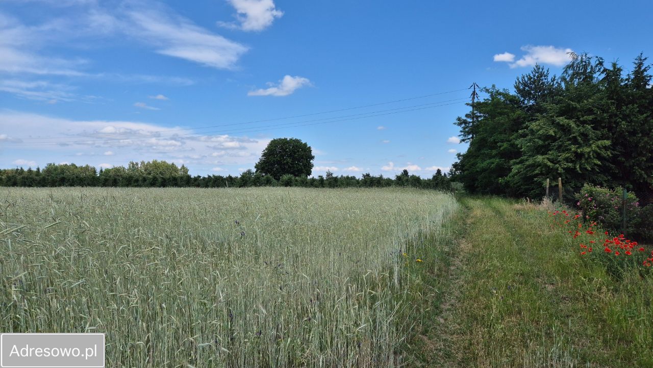 Działka rolno-budowlana Grudzkowola. Zdjęcie 5