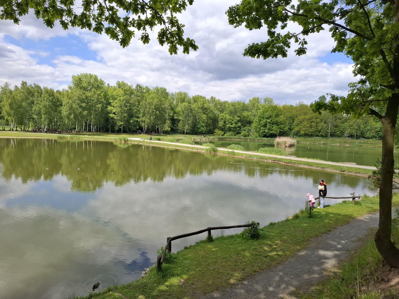 dom wolnostojący, 6 pokoi Siemianowice Śląskie Pszczelnik, ul. Żurawia. Zdjęcie 27