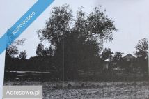 dworek, 5 pokoi Wewierz. Zdjęcie 1