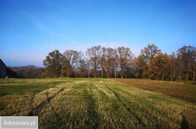 Działka budowlana Grabiszyce Górne. Zdjęcie 1