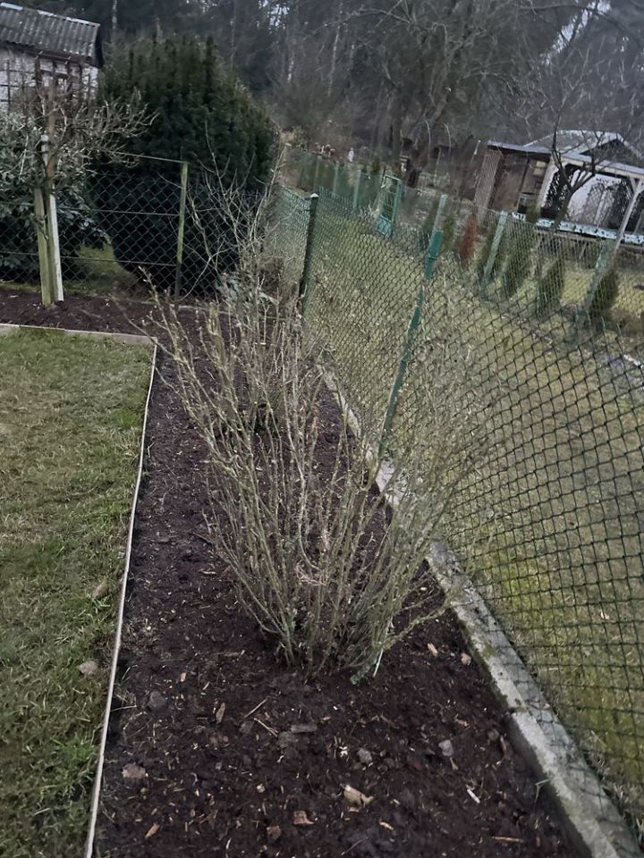 Działka rod Zielonka. Zdjęcie 3