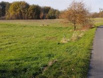 Działka siedliskowa Pstrążna. Zdjęcie 4